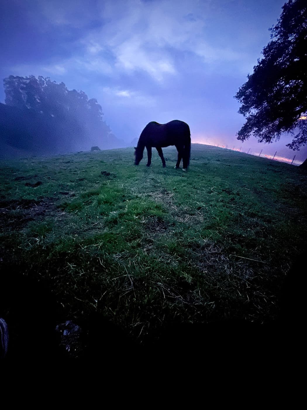 Horse On The Hill