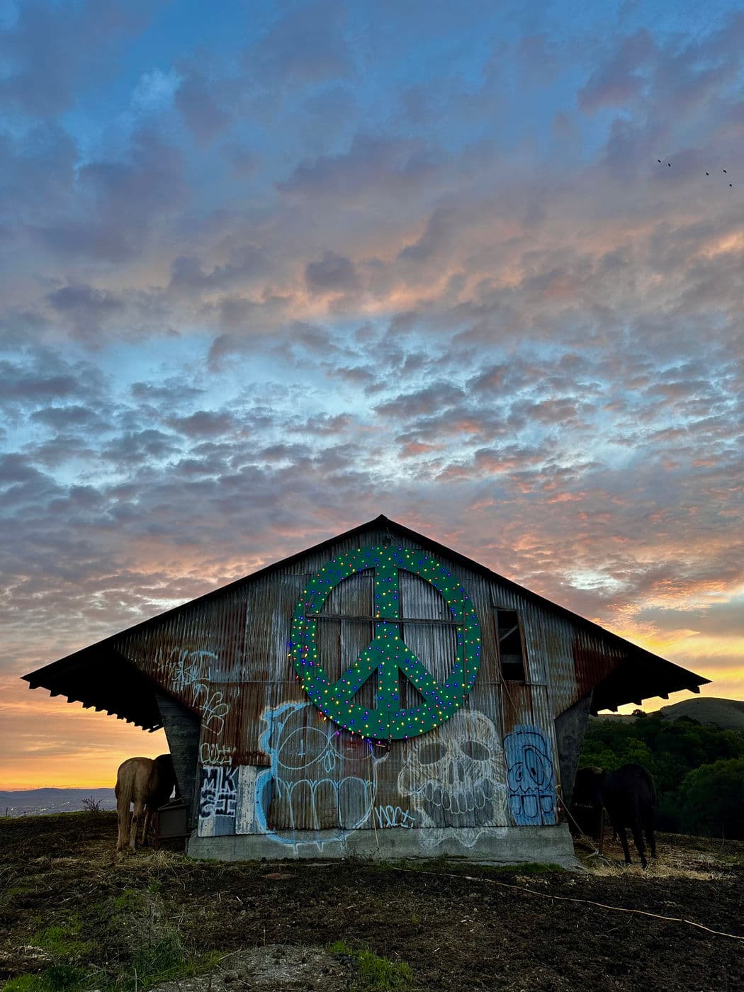 Peace Barn Sunset