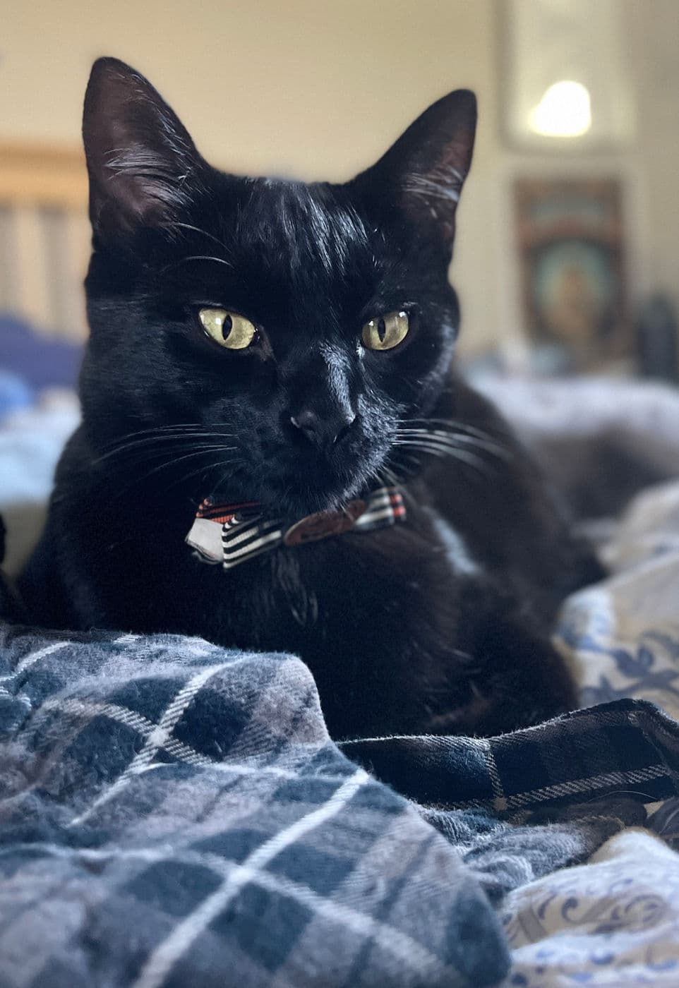 Salem