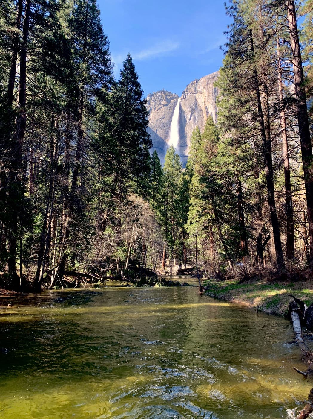 A springtime photo of Yosemite Falls and the river of water flowing under.